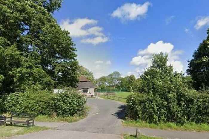 'We are not Glastonbury!' Hawkhurst residents slam plans for larger events on village playing field