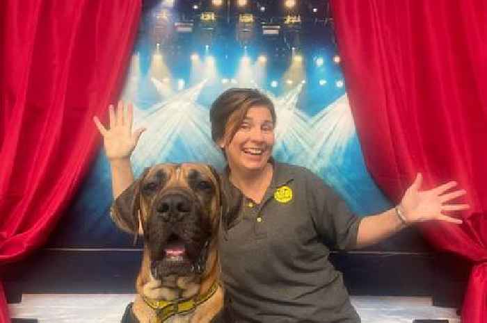 'Paws' for an evening with Harley at Dogs Trust West Calder