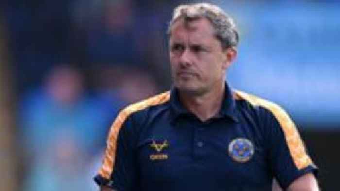 Fans understand challenge facing Shrewsbury - Hurst