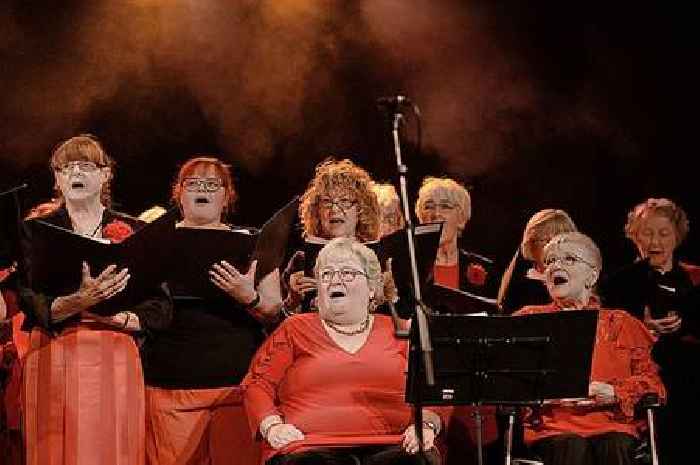 Some Enchanted Evening promises musical magic with YAOS and The Octagon Choir