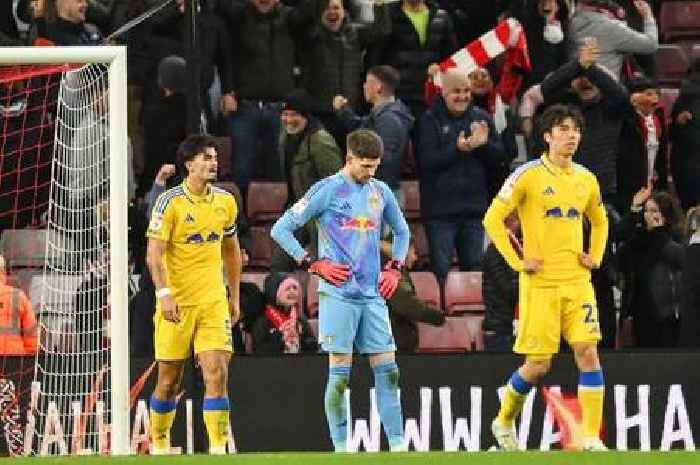 Illan Meslier's Leeds teammate blames 'massive dent in pitch' for Sunderland howler