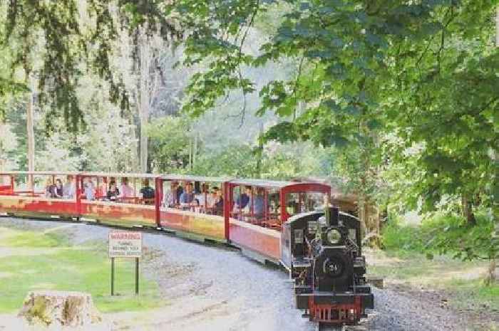 Magical Christmas miniature train ride through 'enchanted woods' where you can meet Santa