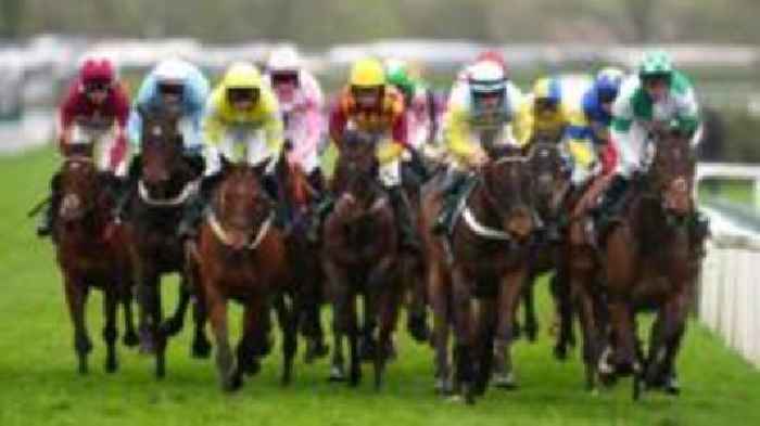 Further 24 charged over Grand National protests