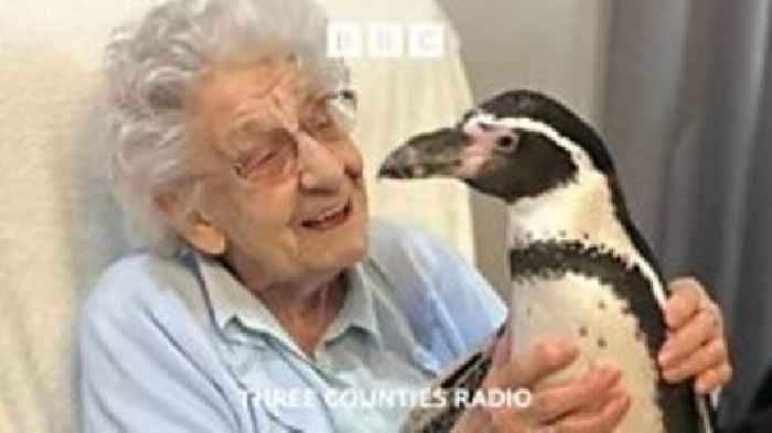 P-P-P-Pick up a penguin in a care home