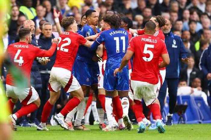 Referees plea made after 'crazy' Nottingham Forest draw featuring card frenzy and brawl with Chelsea