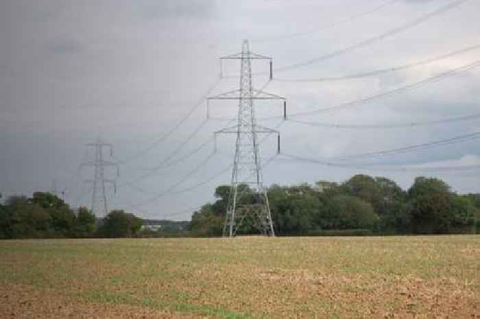 Huge pylon plan 'jeapordises' historic Essex village, MP claims in letter to Ed Miliband