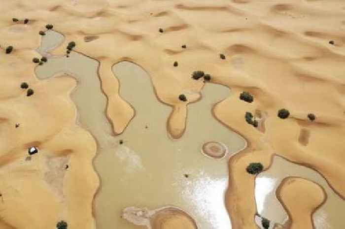 Rivers run through the Sahara desert after once-in-50-year rain hits