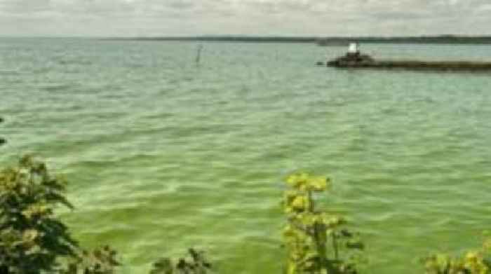 Blue-green algae to be monitored from space