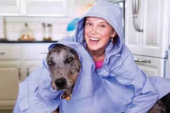 Shoppers 'can't wait to purchase' Millie Bobby Brown's 'cute' dog raincoats