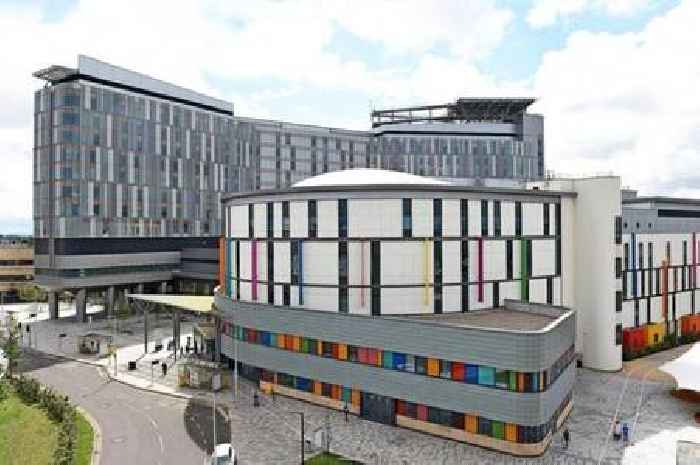 Glasgow's £800m superhospital 'not what we expected', medical director tells inquiry