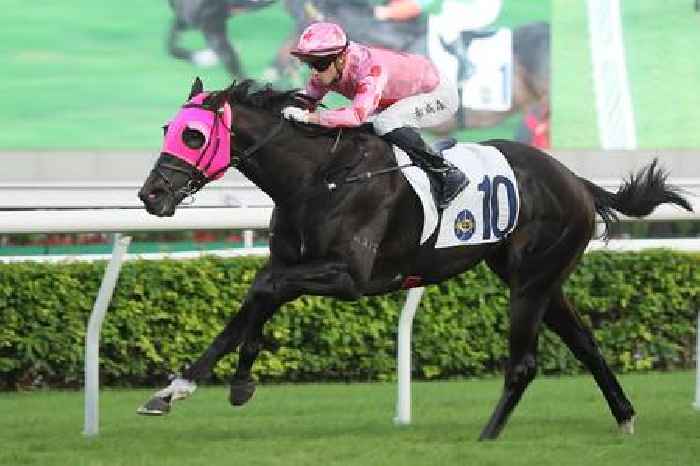 Lui and Chancheng can grab Glory at Sha Tin