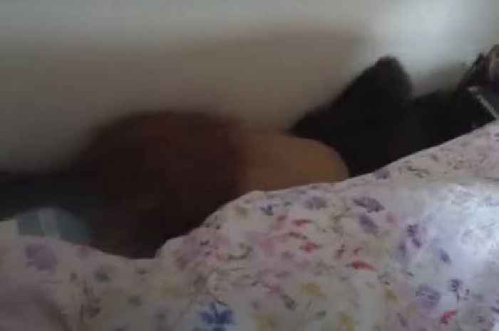 Watch as suspected burglar is found hiding under bed in South Gloucestershire