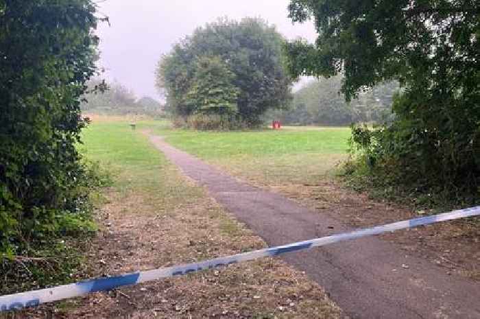 Boy accused of murdering pensioner in park appears in court