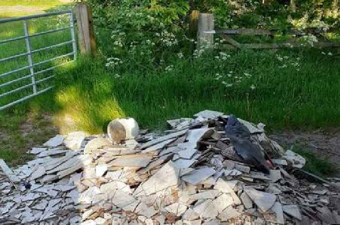 Wolverhampton fly-tipper, 28, dumped rubble outside Codsall fishery 'to make his own yard more tidy'