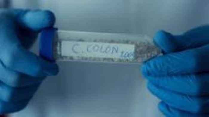 Christopher Columbus's DNA to shed light on his origins