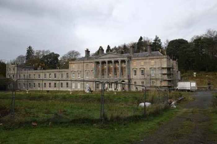 Welsh mansion with its very own 'bat cave' and 102 room goes up for sale