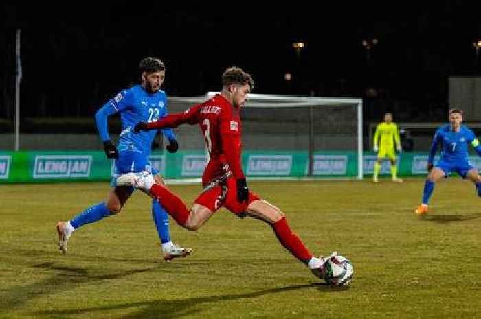 Wales player ratings as Neco Williams shines at both ends but Burnley man endures tricky night in Iceland draw