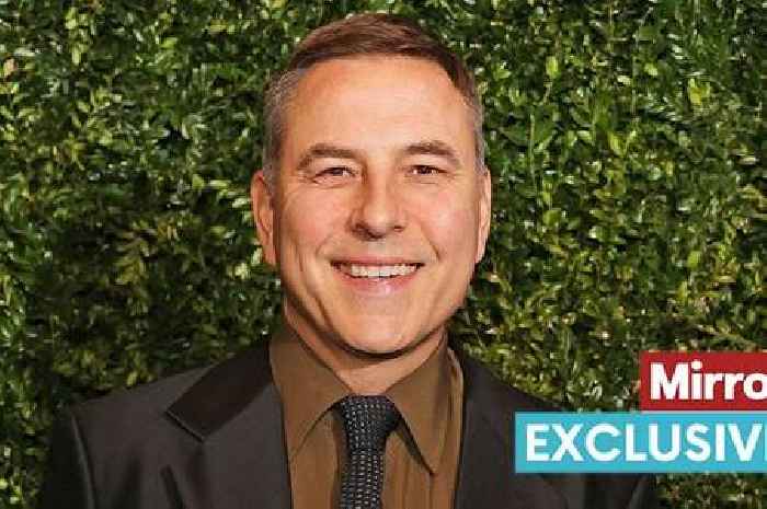 David Walliams confirms he 'fell for' Neighbours star Natalie Imbruglia