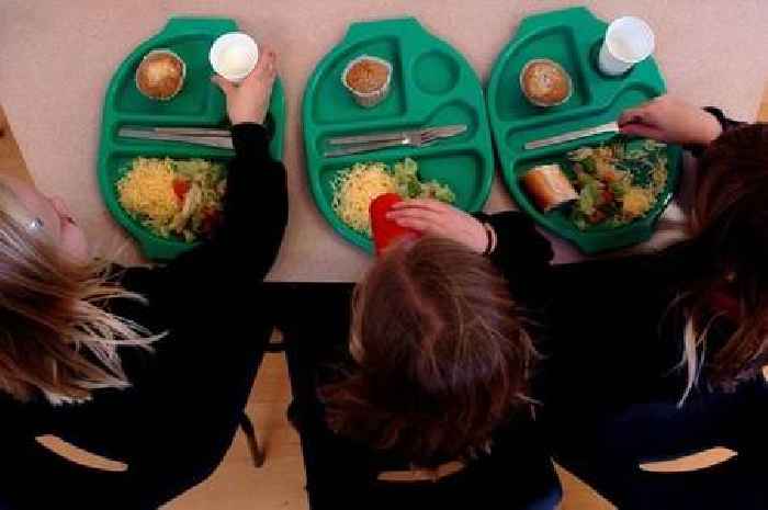 Questions over plan to put insect protein on menu in Welsh schools