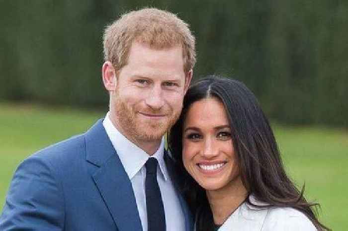 Prince Harry and Meghan Markle's 'professional separation' explained by insider