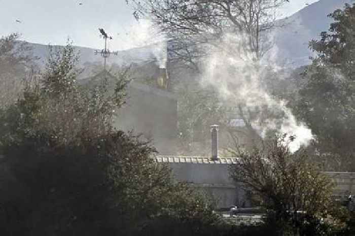 Owner of Welsh zoo claims food smokery next door leaves 'acrid' smell over attraction