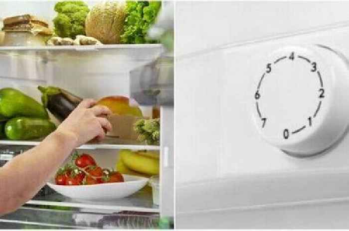 People are only just realising what a fridge dial's numbers actually mean