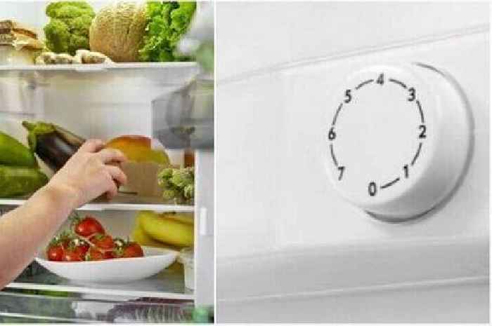 What fridge dial numbers mean and it's not the temperature