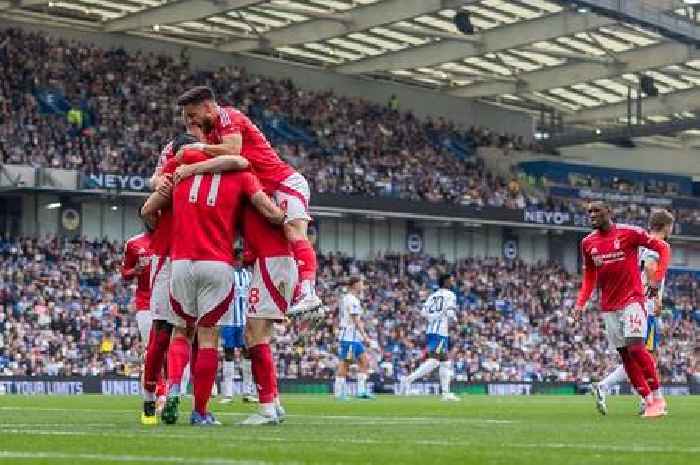 I backed Nottingham Forest when others doubted - even I couldn't predict how good they'd be