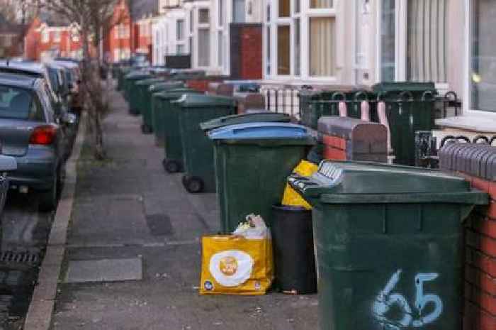 Sandwell plans for major bin shake-up in 'biggest change to waste collections in more than a decade'