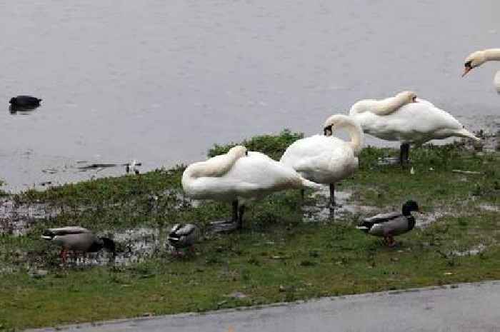 The 20 areas of Wales set to be hit with 27 hours of non-stop rain