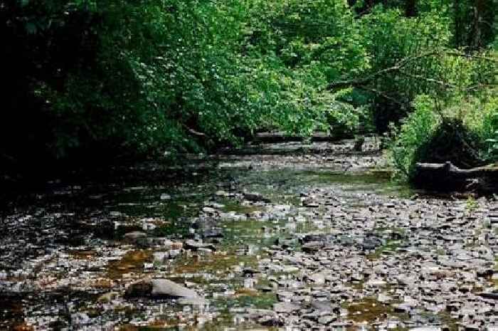 Welsh Water admits sewage discharge permit breaches