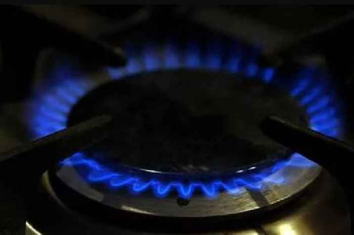 British Gas, OVO, EDF, EON, Octopus customers who have £128 energy credit warned