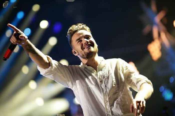 Liam Payne fans convinced lyrics of final song contains 'heartbreaking' message