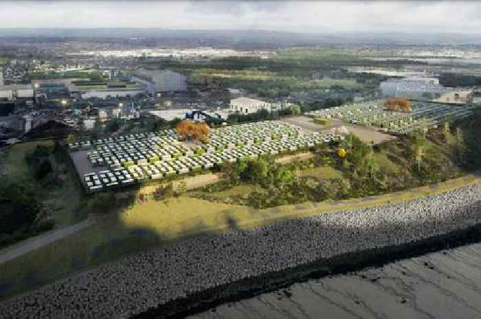 Plans to build one of the world's biggest batteries in Cardiff given green light