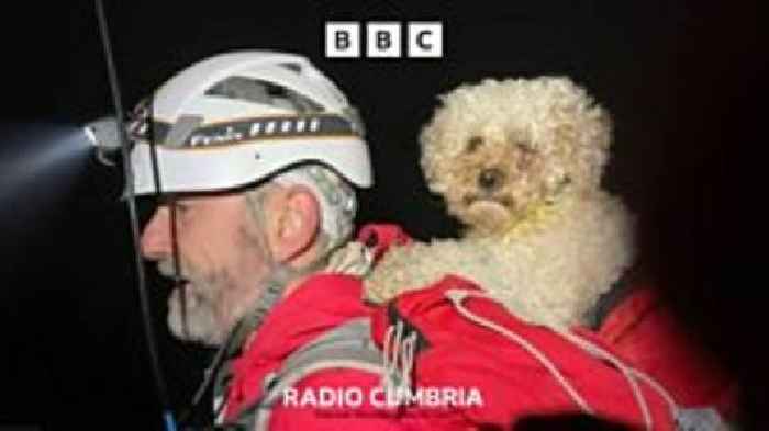 Dog rescues in the Lake District