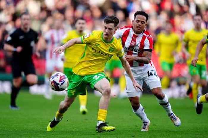 Million Manhoef secures Stoke City point with super strike against Norwich