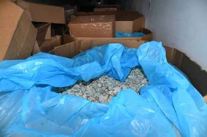 Trio jailed after huge quantity of high-purity cocaine found at Humber port hidden in mushrooms