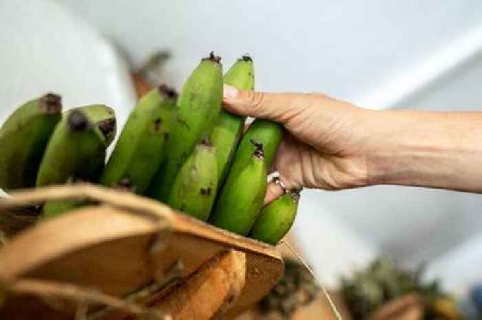 Doctor reveals why you should eat green bananas for your health