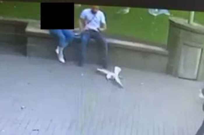 RSPCA release image of man as they investigate brutal attack on gull in Swansea city centre