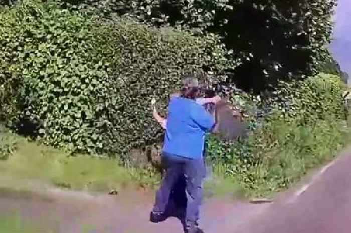 Woman attacks couple with shovel and fire poker in horrific footage