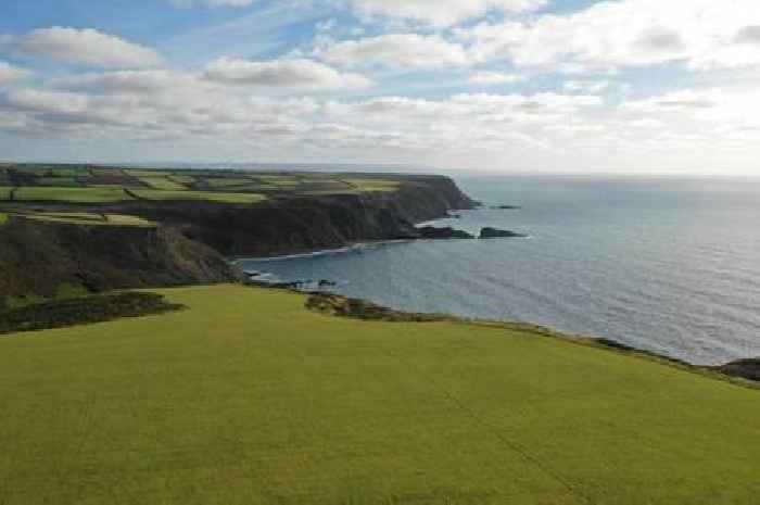 Man, 20, found dead after cliff fall