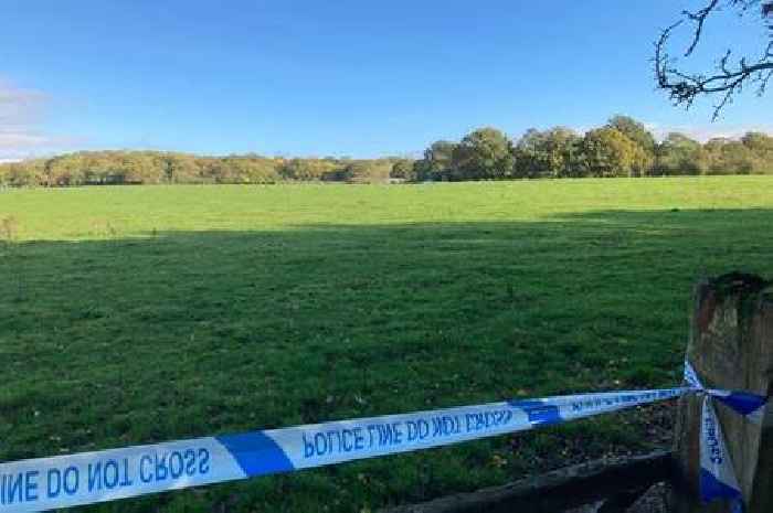 Police tape off Essex farm after concerns for 'significant number' of horses and dogs