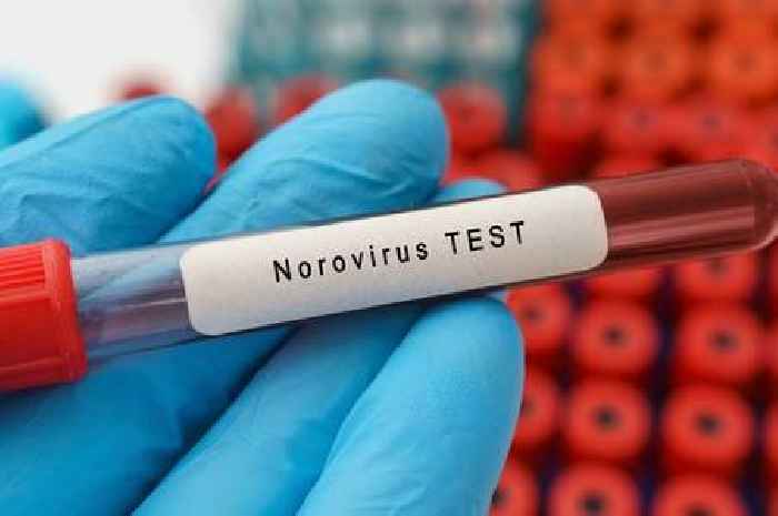 Norovirus vaccine to be trialled in Scotland as volunteers wanted