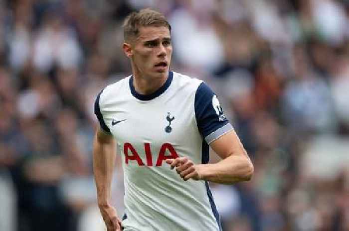 Michael Dawson names the one player Tottenham could not live without