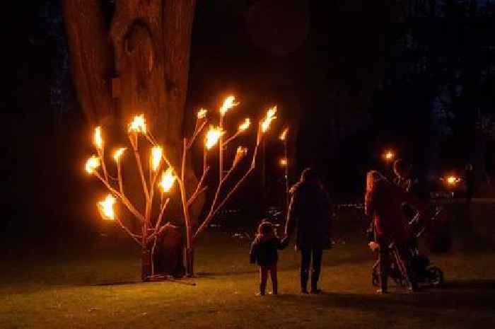 Midlands bonfire night axed and replaced with 'spectacular' Fire Garden and night market