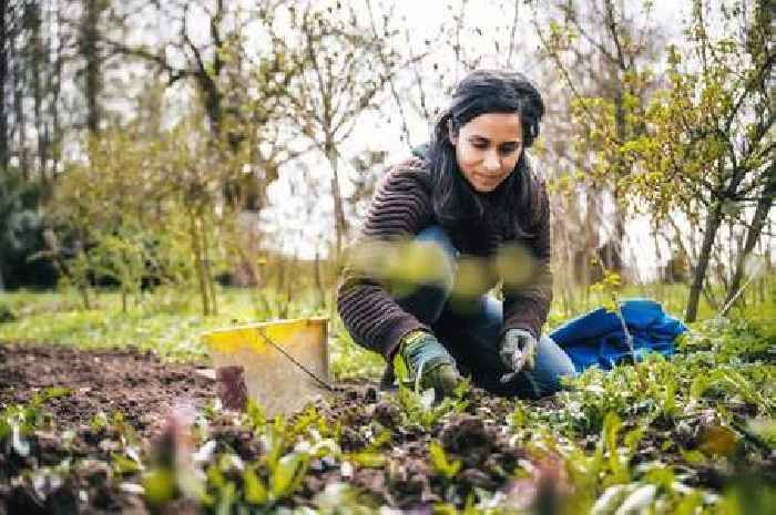 Woman says she's the 'luckiest person in UK' after extremely rare find in back garden