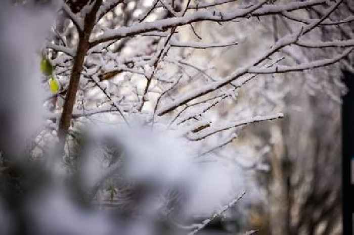 Arctic blast to hit UK with snow and sub-zero temperatures