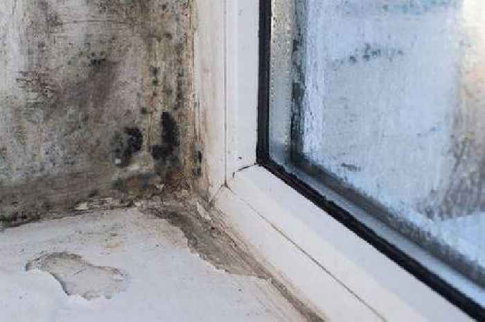 Stop mould growing in your home with simple tip recommended by experts