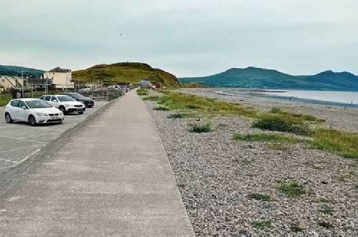 Eyesore vegetation covering Welsh beach defended as vital