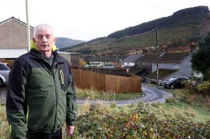 Family who built unpopular 6ft fence without permission win battle to keep it